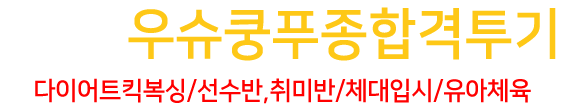 대구 북구 윤주현 우슈쿵푸 종합격투기 로고